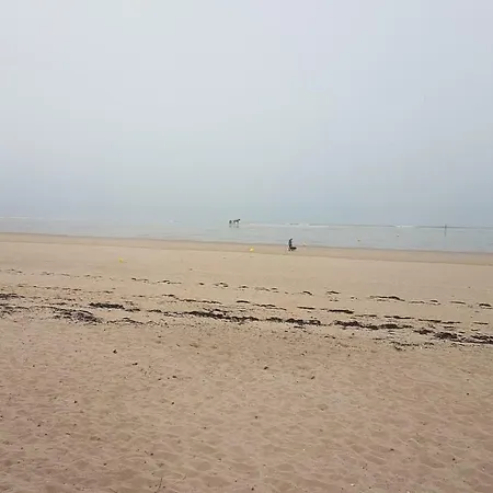 Duplex Avec Vue Sur Mer A